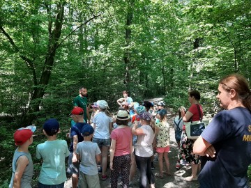 Zajęcia edukacyjne w ramach akcji 'Wakacje w mieście' organizowanej przez Straż Miejską w Łodzi we współpracy z ZPKWŁ OT PKWŁ 2019, <p>fot. K. Paszkowska</p>